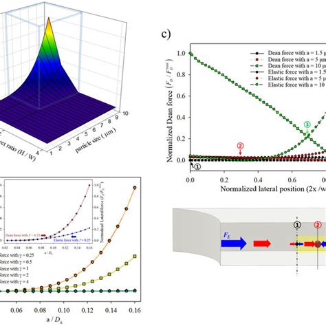 Numerical Results Of The Dean Drag And Elastic Forces At The Horizontal