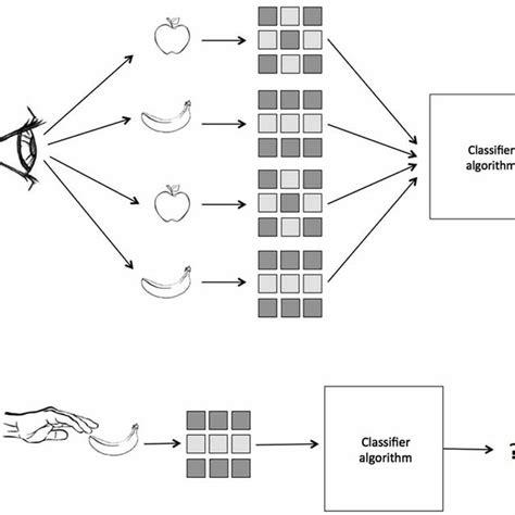 A Schematic Of Multivariate Pattern Similarity Analysis In This