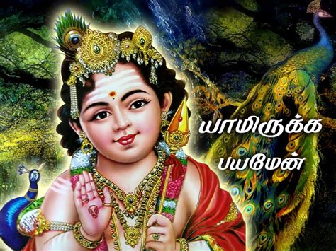 Baby Murugan Wallpapers Wallpaper Cave