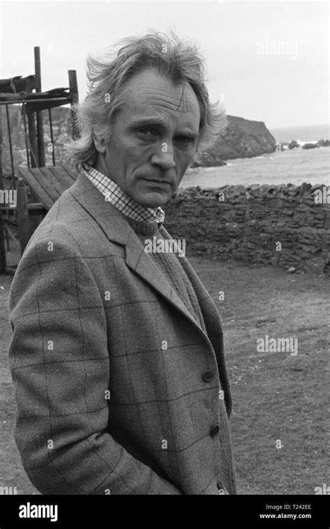 Link 1986 Terence Stamp Date 1986 Stock Photo Alamy