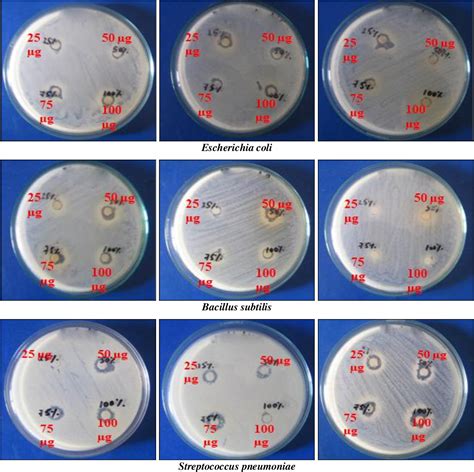 Synthesis Of Pure And Bio Modified Calcium Oxide Cao Nanoparticles