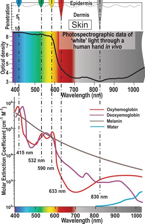 Photobiological Basics And Clinical Indications Of Phototherapy For