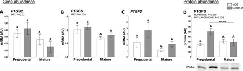 Hormones Hcg And Gnrh A And Sexual Maturity Status Prepuberty Or