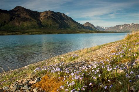 Twin Lakes Alaska - Kayak & Hike with Alaska Alpine Adventures