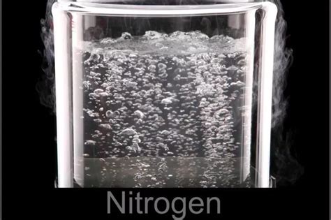 Mengenal Apa Itu Nitrogen Fungsi Unsur Sifat Manfaatnya