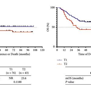 Identification And Prognostic Significance Of TNM Stage In LS