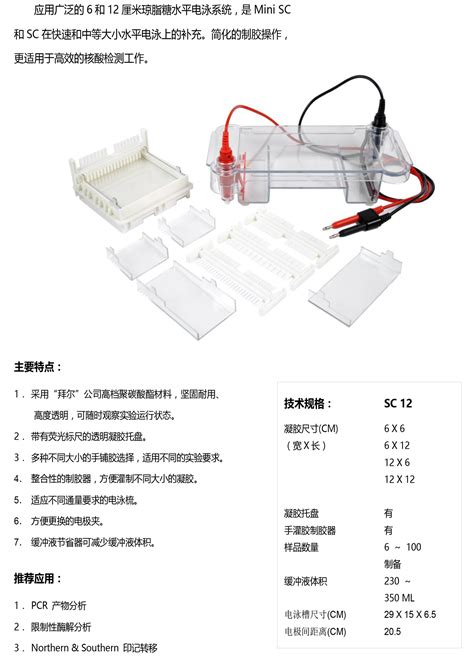 Sc12型 浸没式水平电泳槽 北京凯元信瑞仪器有限公司