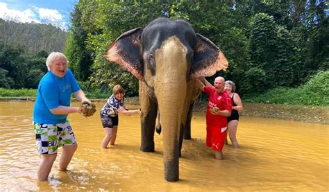 Khao Sok Elephant Sanctuary National Park Trekking 1 Day Tour