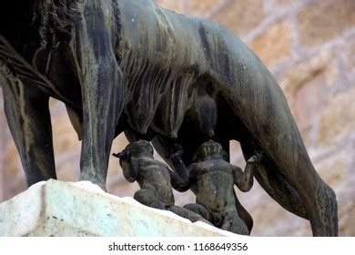 Capitoline Wolf Sculpture Mythical Shewolf Suckling Stock Photo