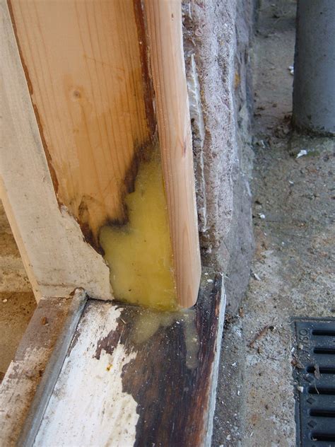 Rotten Door Frame Repair Wood Repair Repair Care