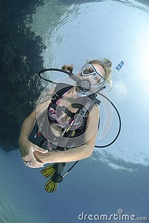 Adult Female Scuba Diver In Bikini Stock Images Image 16385344