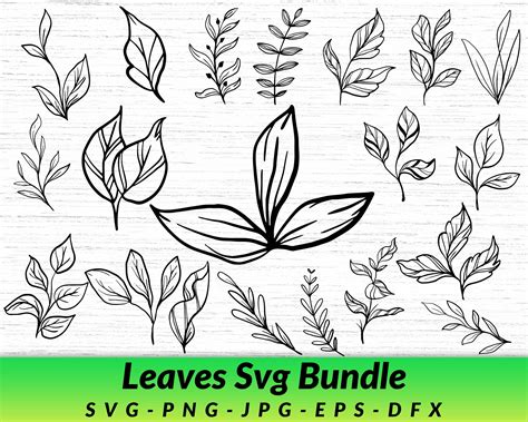 Leaves Svg Bundle Leaf Svg Foliage Svg Botanical Svg Nature Svg Tree