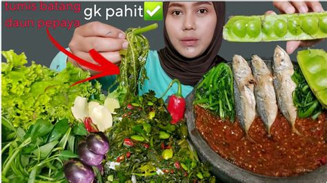 Tumis Batang Pepaya Ikan Asin Peda Petai Lalapan Mentah Asmr