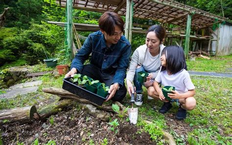 Kỹ Thuật Trồng Bí Đỏ Siêu Quả Kỹ Thuật Trồng Bí Ngô Theo Hướng Khai