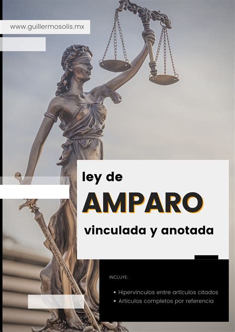 Ley de Amparo eBook by Congreso de la Unión - EPUB | Rakuten Kobo United States