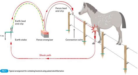 Electric Fence Installation Diagram