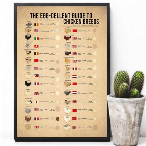 Retro Metal Tin Sign The Egg Cellent Guide To Chicken Breeds Vintage