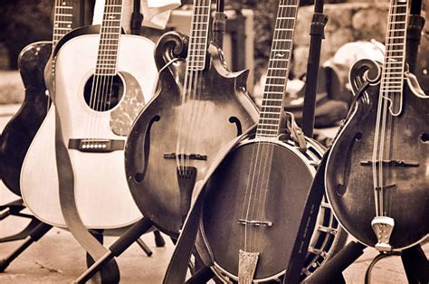 151100 Folk Music Stock Photos Pictures And Royalty Free Images Istock