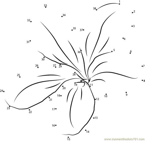 Beautiful Jasmine Flower Connect The Dots Worksheet Jasmine Flower Beautiful Jasmine Flower