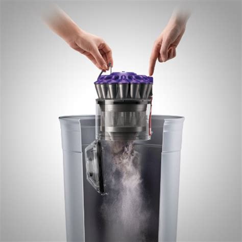 Dyson Dc39 Animal Canister Vacuum Cleaner Pricepulse