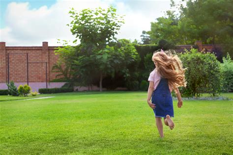 How Mosquito Guy Can Help You Achieve A Mosquito Free Yard Again