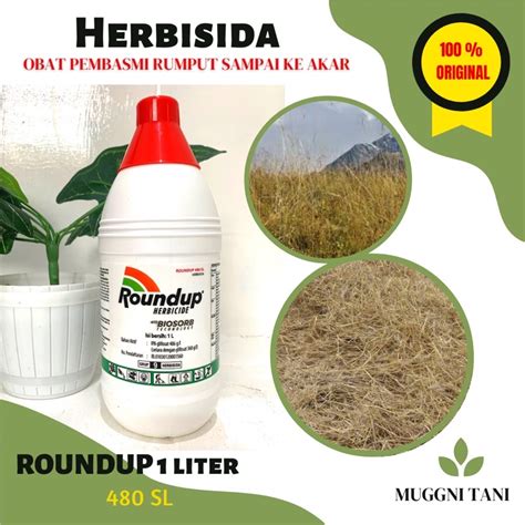 Jual Roundup Liter Sl Herbisida Obat Pembasmi Rumput Sampai Ke