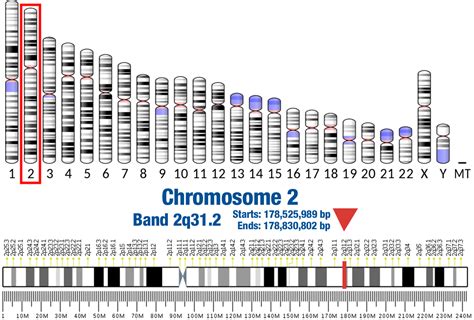 TTN » Laboratory Testing and Research