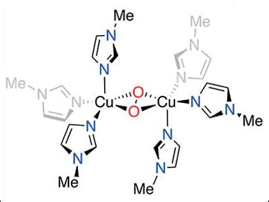 Copper Iii Intermediates In Tyrosinase Model Chemistryviews