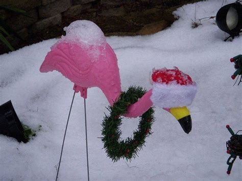 Christmas Flamingo Flamingo Christmas Christmas Decorations Tropical Christmas