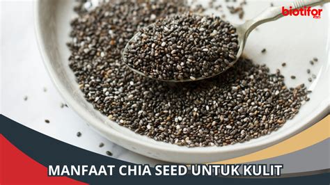 Manfaat Chia Seed Untuk Kulit Rahasia Kecantikan Alami Biotifor