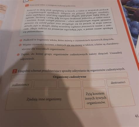 Przyroda Klasa Strona Brainly Pl