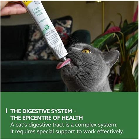 Gimcat Gastro Intestinal Cat Paste, 50g - Smart Pet Kuwait