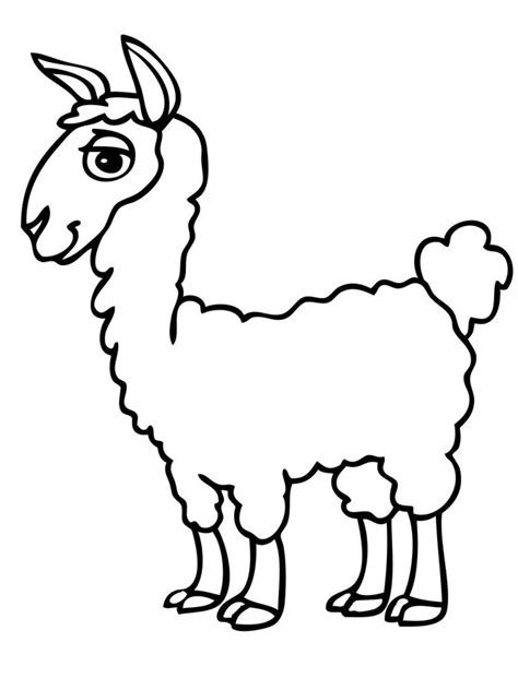 Actualizar Alpaca Dibujo Para Colorear Muy Caliente Camera Edu Vn