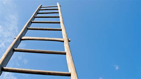 Help Climbing Ladder