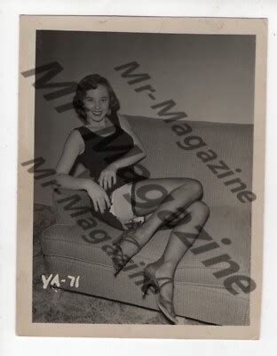 Vintage Risqué B W Pinup 4 x5 Sexy Cheesecake Brunette Lingerie Nylons XN 76 eBay