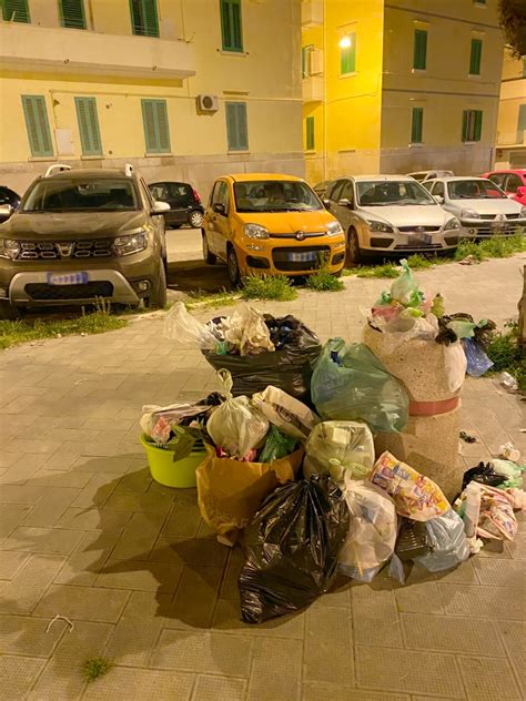 Quindici Molfetta Emergenza Igiene Pubblica A Molfetta Citt Sempre