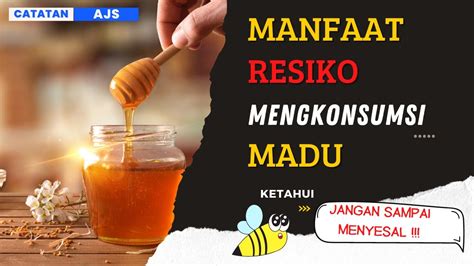 Manfaat Madu Untuk Kesehatan Dan Kecantikan Serta Resikonya Youtube