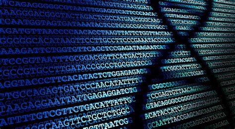 DNA Sequencing Reveals Cause of Sinus Infections - The ID Doc