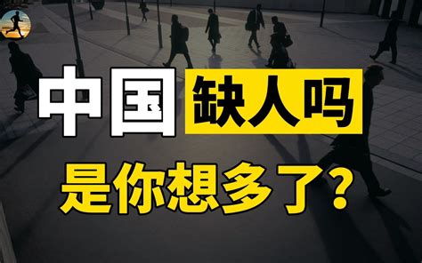 第七次全国人口普查，数据结果爽约了，开放生育是你想多了？ 哔哩哔哩 Bilibili