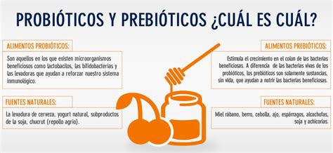 ¿Qué son y qué propiedades tienen los Probióticos y Prebióticos? | Parque Salud