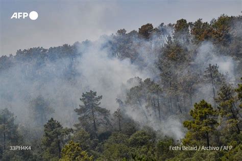 Incendios forestales en Argelia dejan más de una docena de muertos