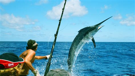 Fishing Wallpaper HD | PixelsTalk.Net