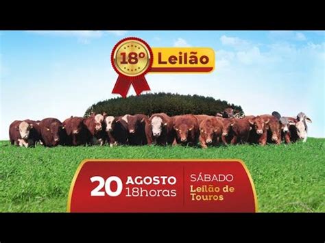 18º Leilão Fazenda Sonho e Realidade 2ª ETAPA TOUROS AO VIVO