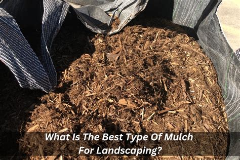 What Is The Best Type Of Mulch For Landscaping Blog