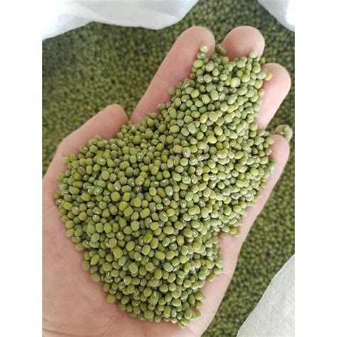 Jual Kacang Hijau 1 Kg Green Beans 1kg Shopee Indonesia