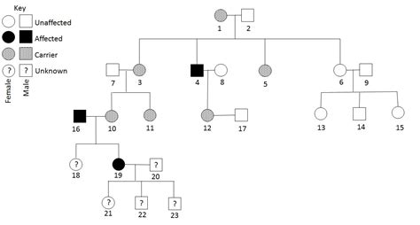 Genetics Mcat Biology