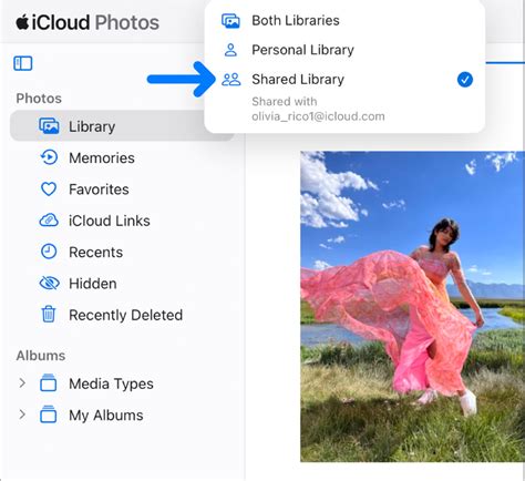 View your iCloud Shared Photo Library on iCloud.com - Apple Support