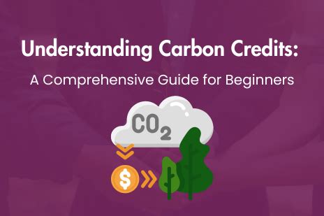 Understanding Carbon Credits A Comprehensive Guide For Beginners