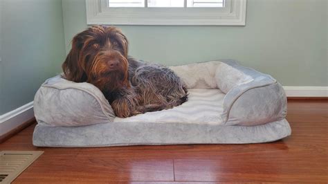 Best Dog Beds Of 2024 Cnet Siliconfit