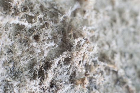 Asbestos Common Types Dangers And And How To Identify It